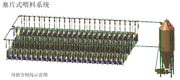 豬場(chǎng)賽盤料線 豬場(chǎng)賽盤料線
