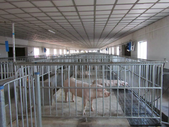 1625727204339871.jpg 1.jpg