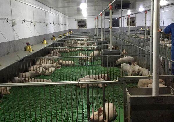 1625727598759453.jpg 保育舍3.jpg