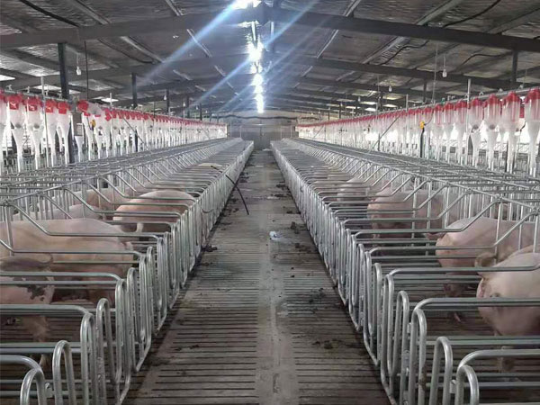 1625824228972312.jpg 料線安裝圖2.jpg