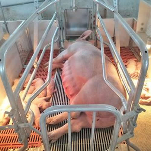 1628839628348379.jpg timg.jpg