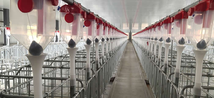 1629705423191527.jpg 云南豬場-17.jpg