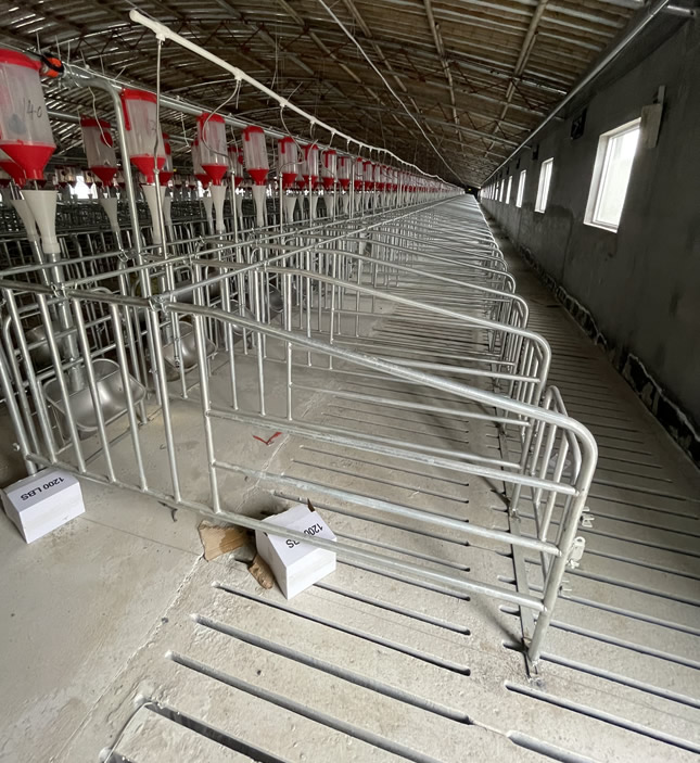 母豬配懷舍水泥漏糞板 母豬配懷舍水泥漏糞板