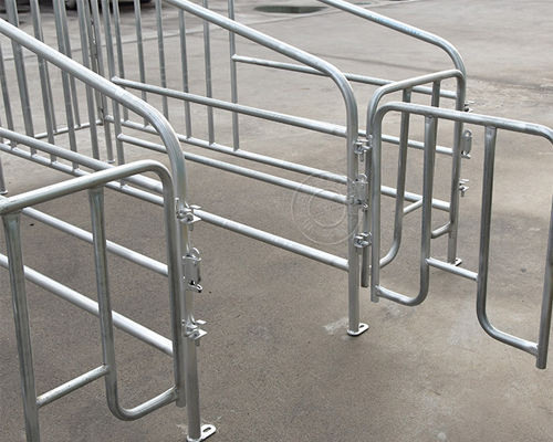 1634801511975817.jpg 33.jpg