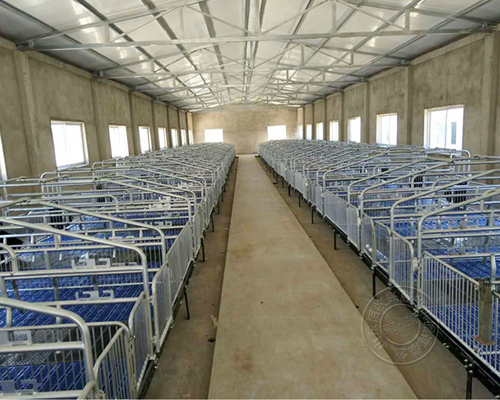 1635494293983761.jpg 222.jpg