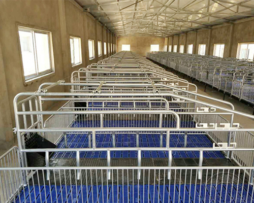 1635494303336185.jpg 333.jpg