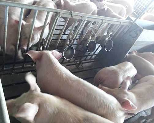 1635842850738585.jpg 4.jpg