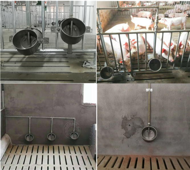 1635842895153684.png 6.png