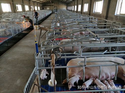 1635928558122541.png 1.png