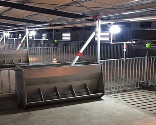 1635928708292585.jpg 444.jpg