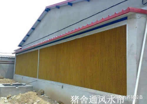 1635928740429967.png 5.png