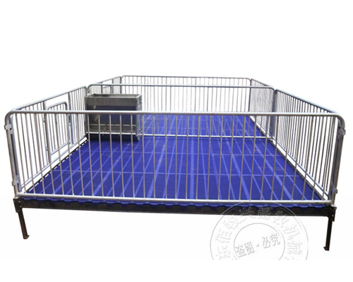 1635929480589808.jpg 66.jpg