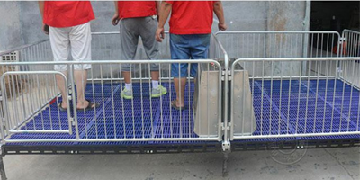 1635929516579399.jpg 888.jpg