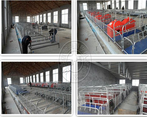 1635929527867880.jpg 999.jpg