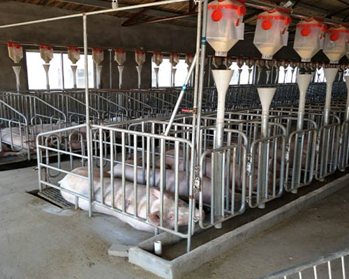 1635997665741200.png 圖片1.png