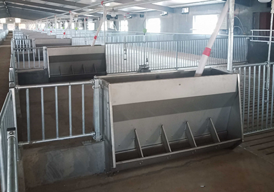 1636082319958264.jpg 圖片51.jpg