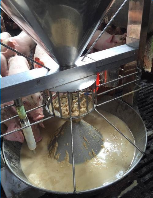 1636082331525327.jpg 圖片61.jpg