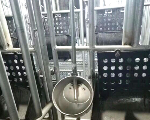 1636093337848394.jpg 666.jpg