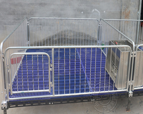 1636166376320459.jpg 11.jpg