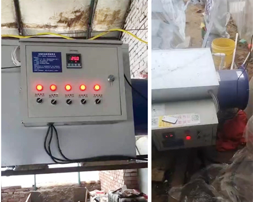 1636354944533129.jpg 444.jpg