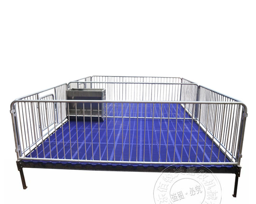 1637909666123255.jpg 保育111.jpg