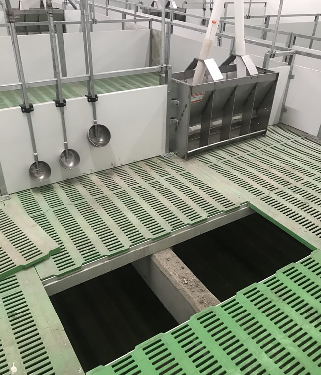 1638604351436274.jpg 1638604351436274.jpg