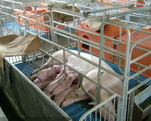 1638951391207180.jpg 應(yīng)激11.jpg