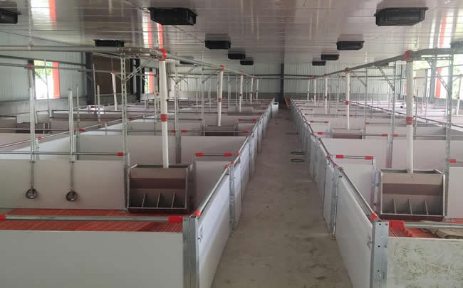 自動化保育舍 自動化保育舍