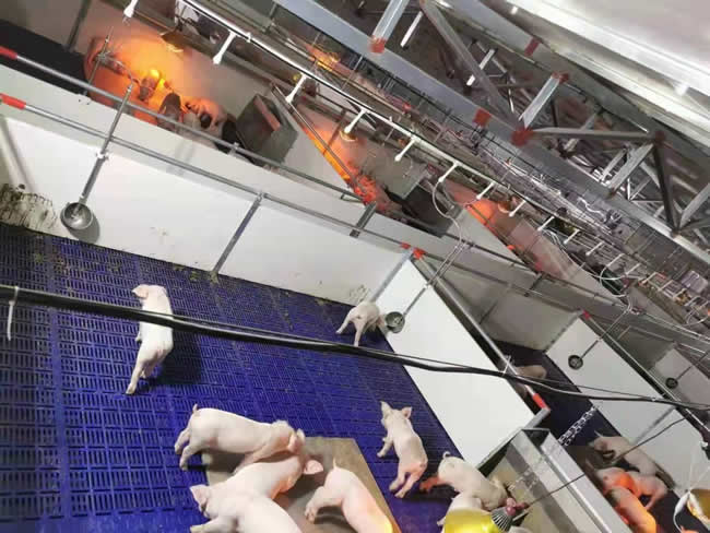 1653637712647447.jpg PVC板保育床安裝圖片.jpg