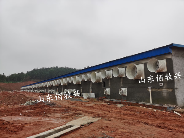 豬場(chǎng)降溫風(fēng)機(jī)系統(tǒng) 豬場(chǎng)降溫風(fēng)機(jī)系統(tǒng)