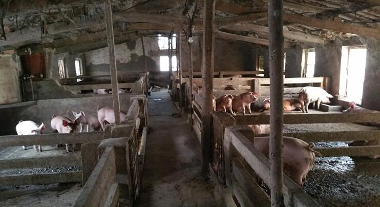 1687503642579643.jpg 1687503642579643.jpg