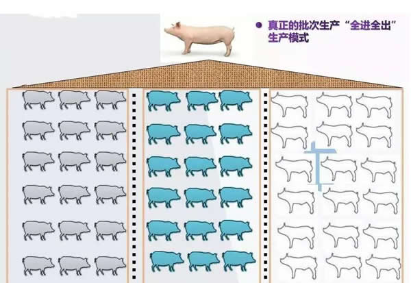 1690513391269336.jpg QQ截圖20230728104143.jpg