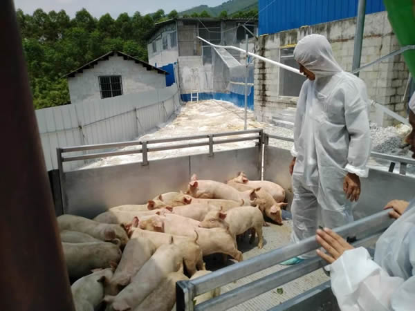 1690513408951059.jpg 2422.jpg