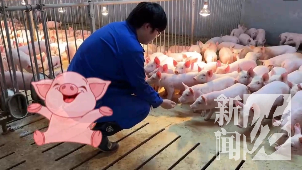 1693126779776497.jpg 1693126779776497.jpg