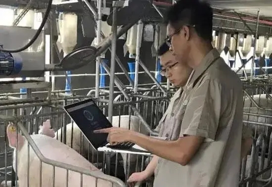 1693128274241022.jpg 10.webp.jpg